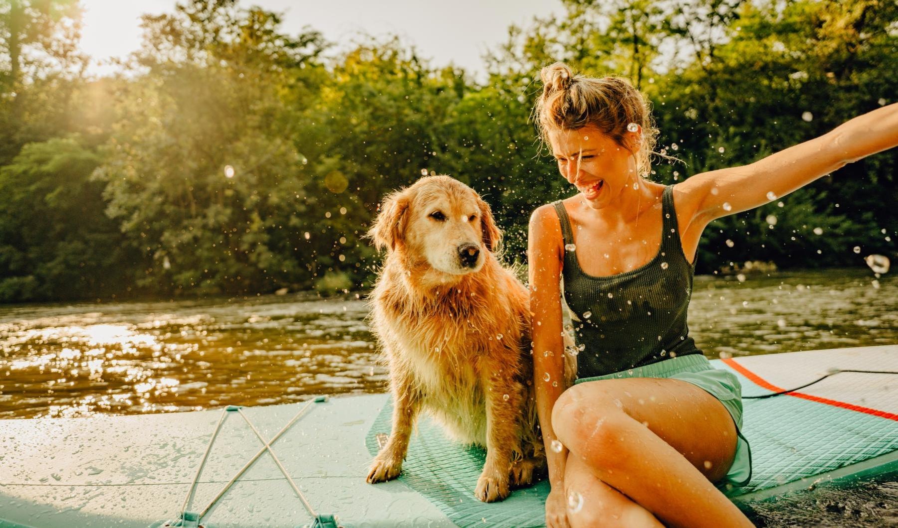 a person and a dog on a paddleboard